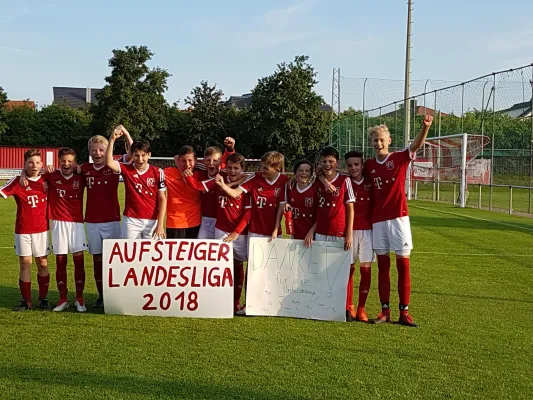D-Jugend Aufstieg in Landesliga und Pokalsieg 2018
